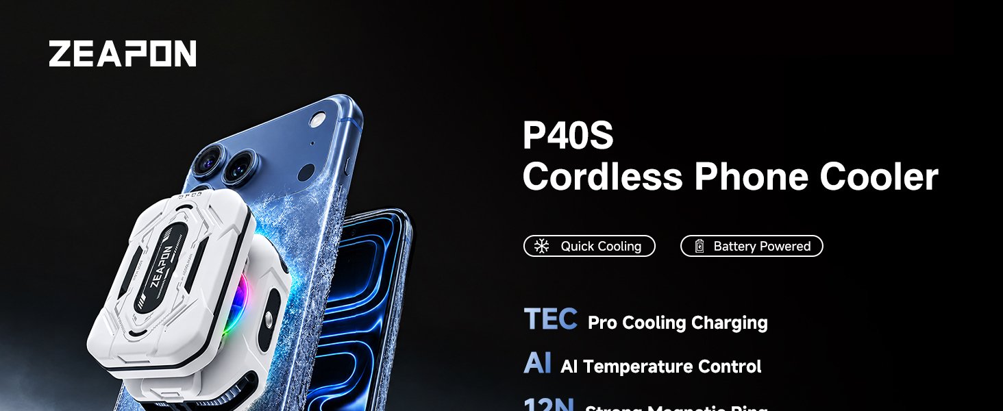 P40S-W-aplus-web-01